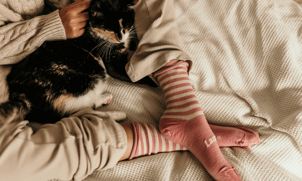 winter socks for women 