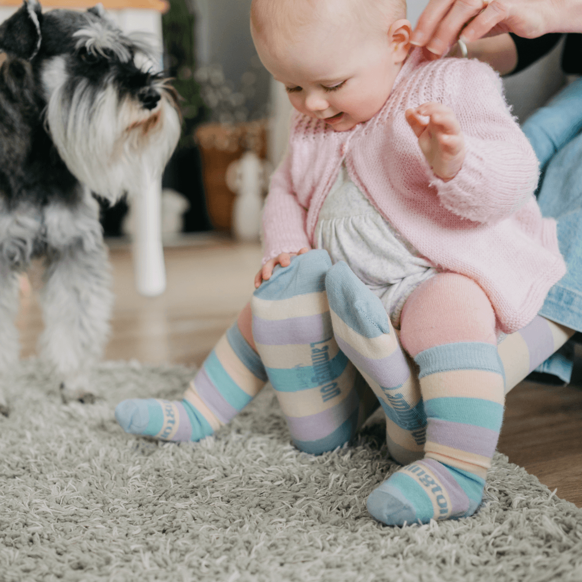 Merino Wool Knee High Socks | BABY | Sherbet