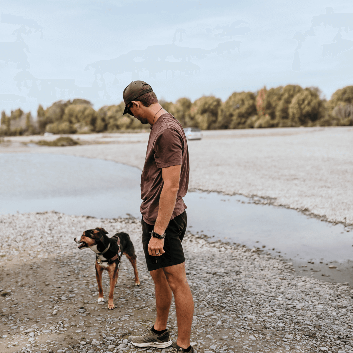 Merino wool sneaker socks black men sport NZ