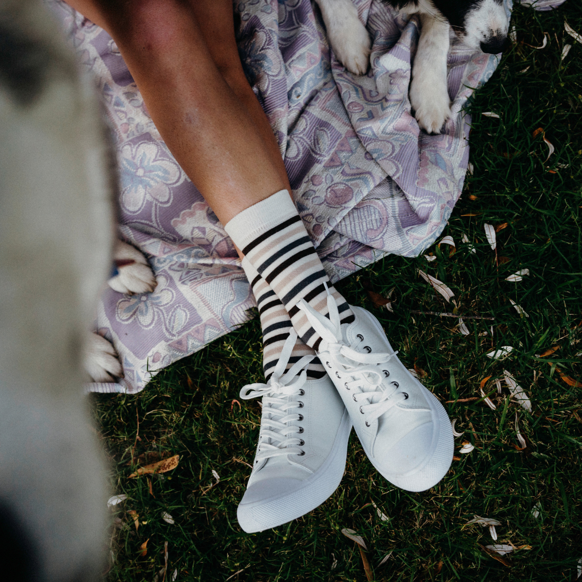 Womens merino wool crew socks cream and brown stripes by Lamington NZ